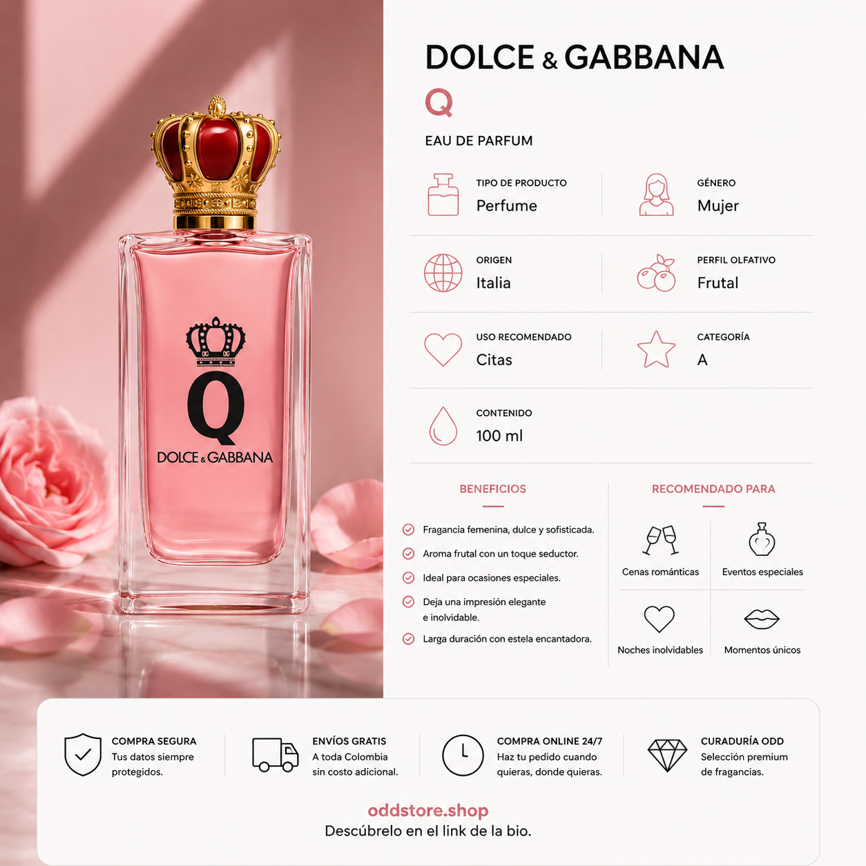 DOLCE & GABBANA Q