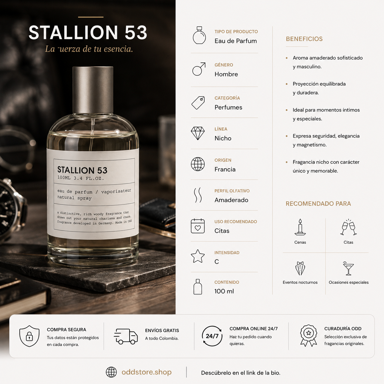 STALLION 53